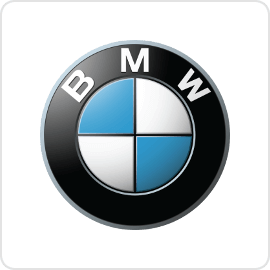 BMW Cruise Control 