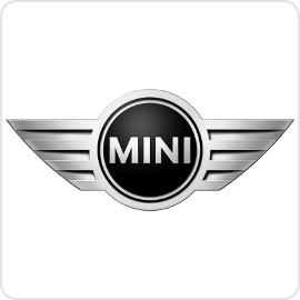 Mini Cruise Control