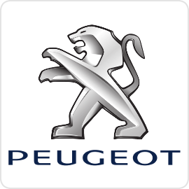 Peugeot Cruise Control
