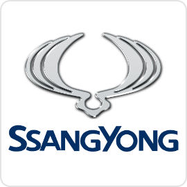 SsangYong Cruise Control