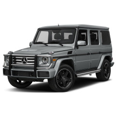 PRECISION SPEED LIMITER MERCEDES G CLASS