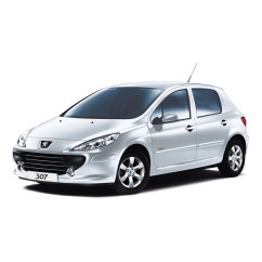 PRECISION SPEED LIMITER PEUGEOT 307