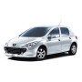 PRECISION SPEED LIMITER PEUGEOT 307