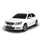 PRECISION SPEED LIMITER SKODA OCTAVIA
